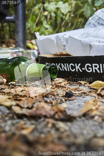 Image of Picknick litter lying on ground