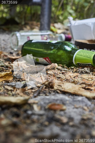 Image of Picknick litter lying on ground