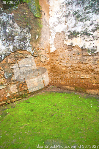 Image of chellah  in morocco      the old roman           and site