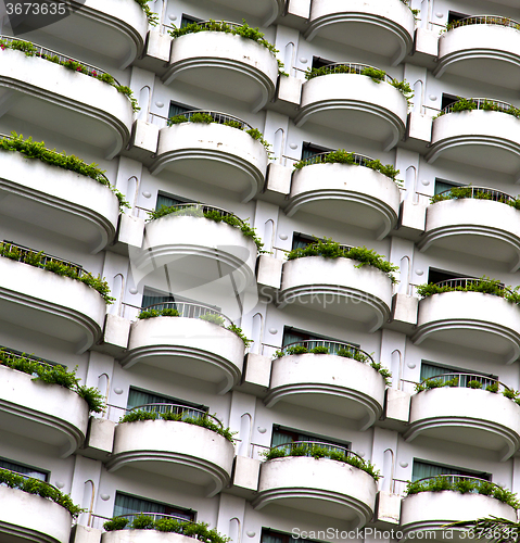 Image of   terrace   the centre  bangkok thailand plant bush flowers