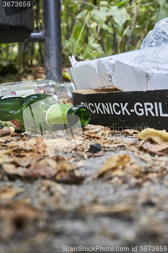 Image of Picknick litter lying on ground