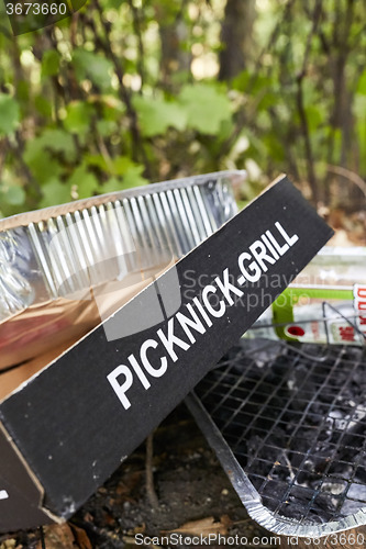 Image of Picknick litter lying on ground