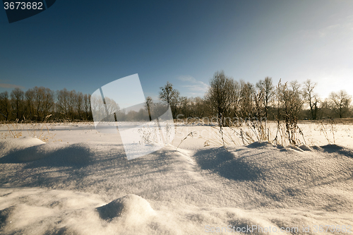 Image of    park in winter