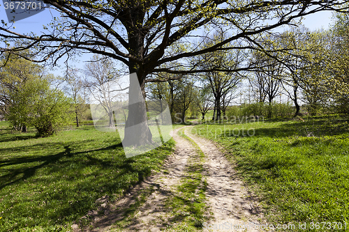 Image of   rural Dirt road  