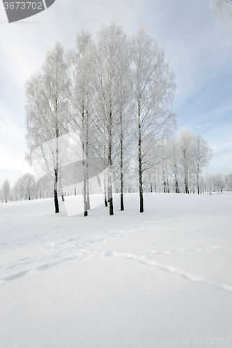 Image of Winter Park. snow.