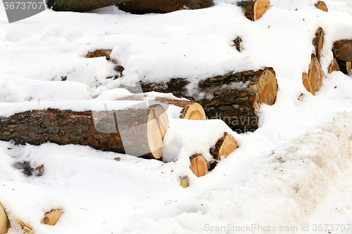 Image of  winter season.   snow