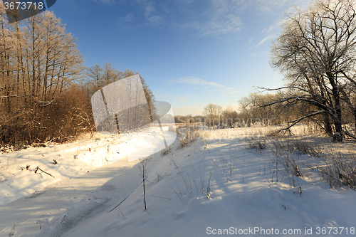 Image of trees in winter  