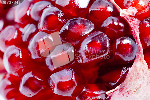 Image of   ripe red pomegranate  