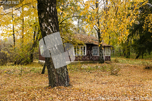 Image of wooden house  . autumn  