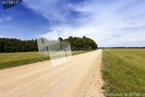 Image of  Rural Dirt road 