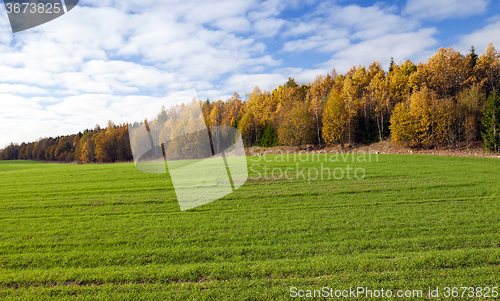 Image of   the autumn season. 