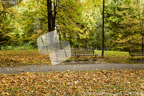 Image of  the autumn season