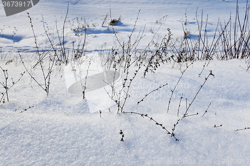 Image of snow covered field  