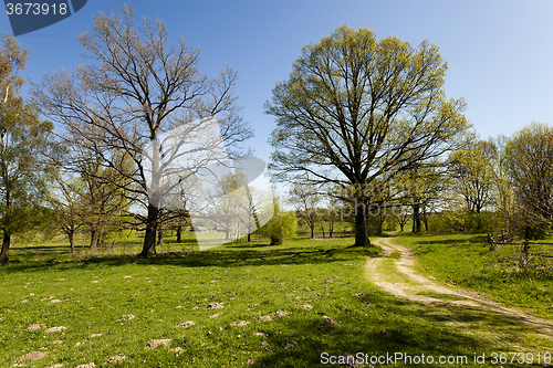 Image of   rural Dirt road  