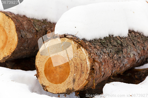 Image of  winter season.   snow