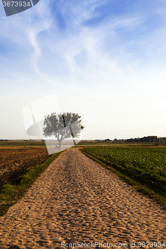 Image of Spring road .  season