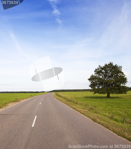 Image of  road  in the spring  