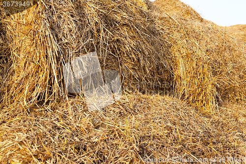 Image of bales of straw  