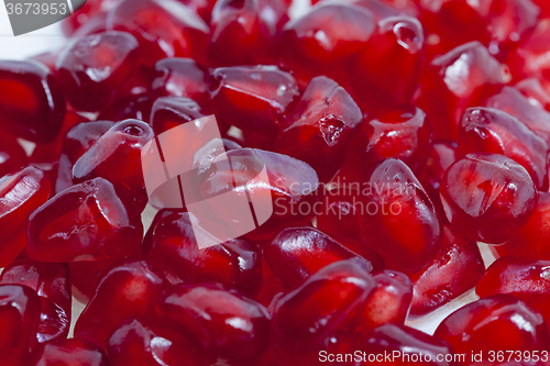 Image of   ripe red pomegranate  