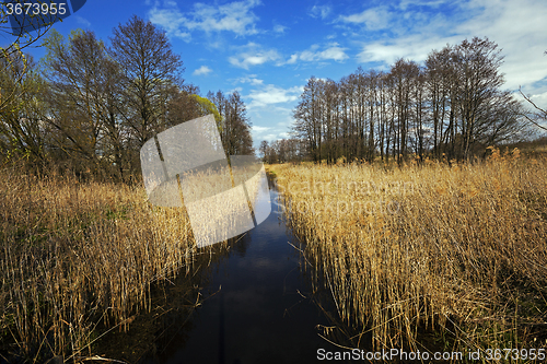Image of small lake . spring 