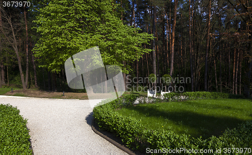 Image of trees in spring  