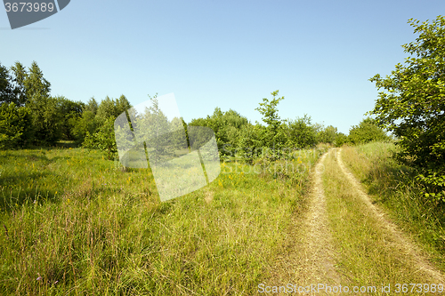 Image of vanishing rural road 