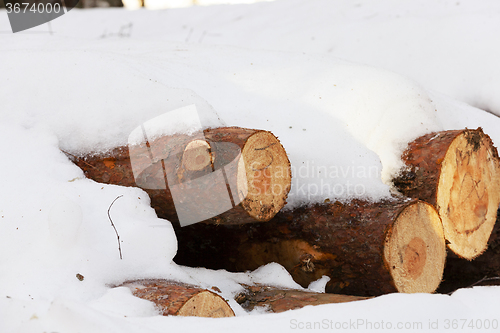 Image of  winter season.   snow