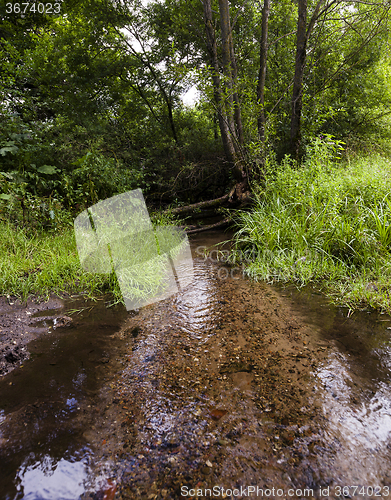 Image of small lake . summer 