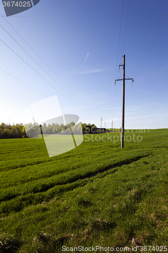 Image of electric line in the   field  
