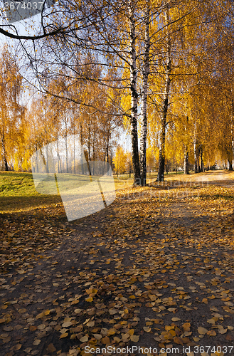 Image of   park in autumn  