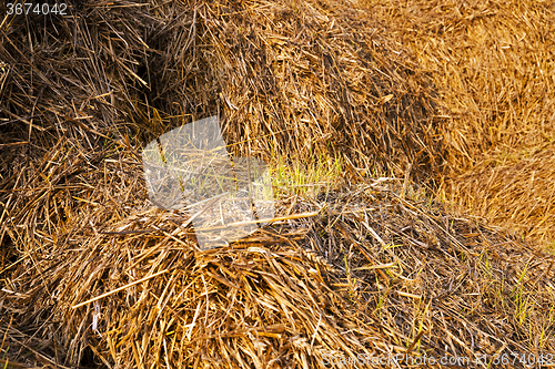 Image of bales of straw 