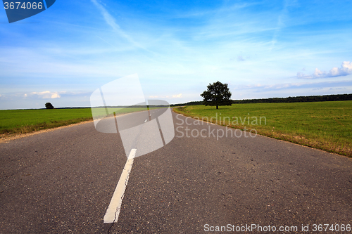 Image of   road  through the field