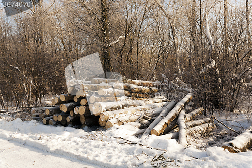 Image of   timber in the winter 