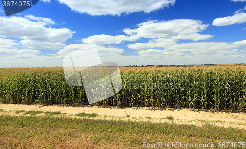 Image of road in a field  