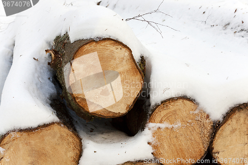 Image of  winter season.   snow