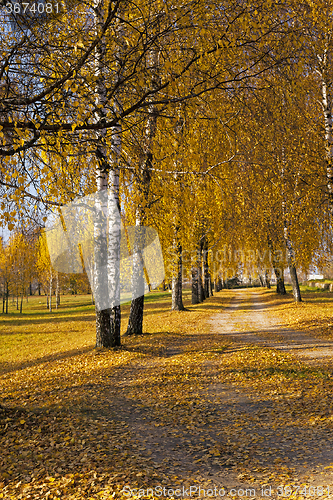 Image of   park in autumn  