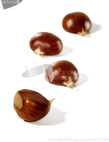 Image of Chestnuts