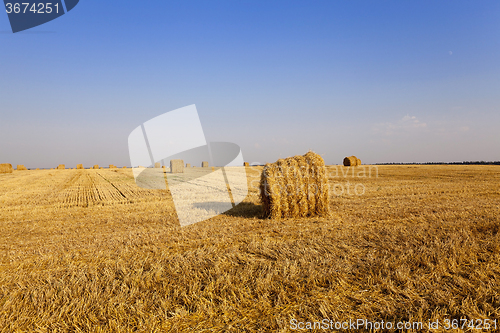 Image of stack of straw  