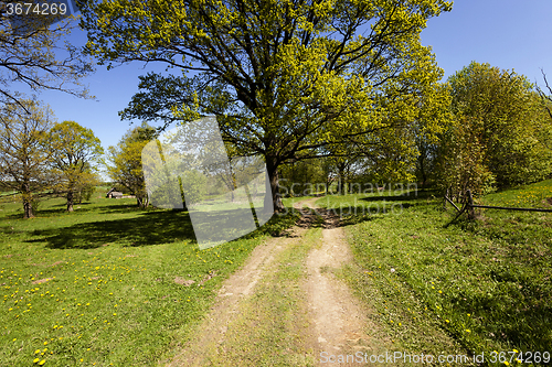 Image of  Rural Dirt road. 