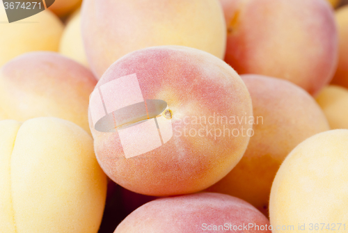 Image of ripe apricots .  close-up  