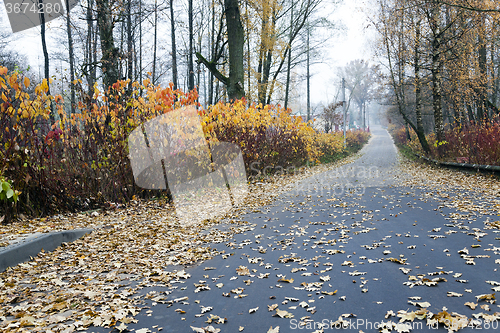 Image of   the autumn season
