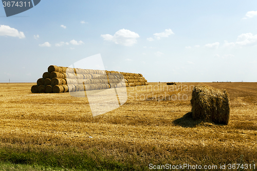 Image of stack of straw in the field  