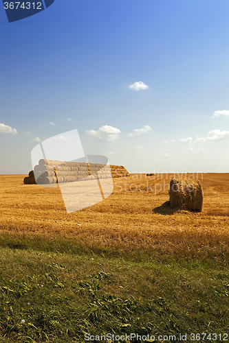 Image of Stack of straw  