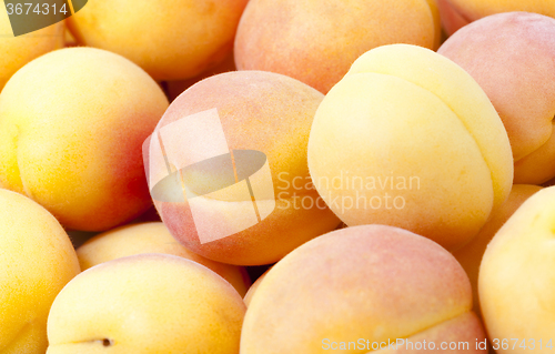 Image of ripe apricots .  close-up  