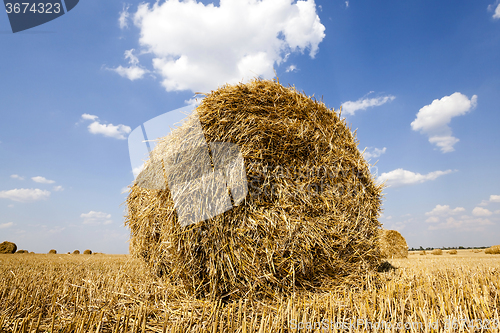 Image of stack of straw in the field  