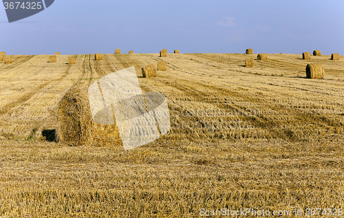 Image of stack of straw  