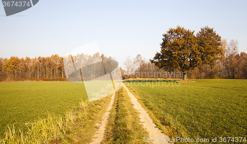 Image of Spring road .  countryside 