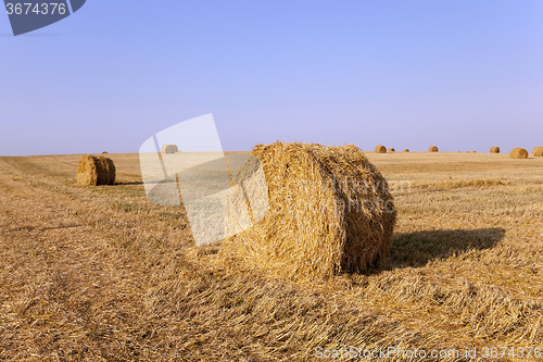 Image of stack of straw  