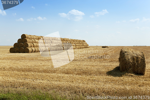 Image of Stack of straw . summer