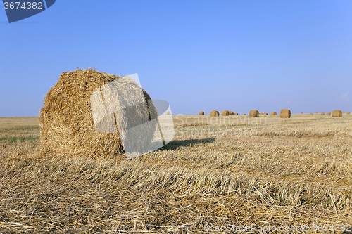 Image of haystacks straw  . summer